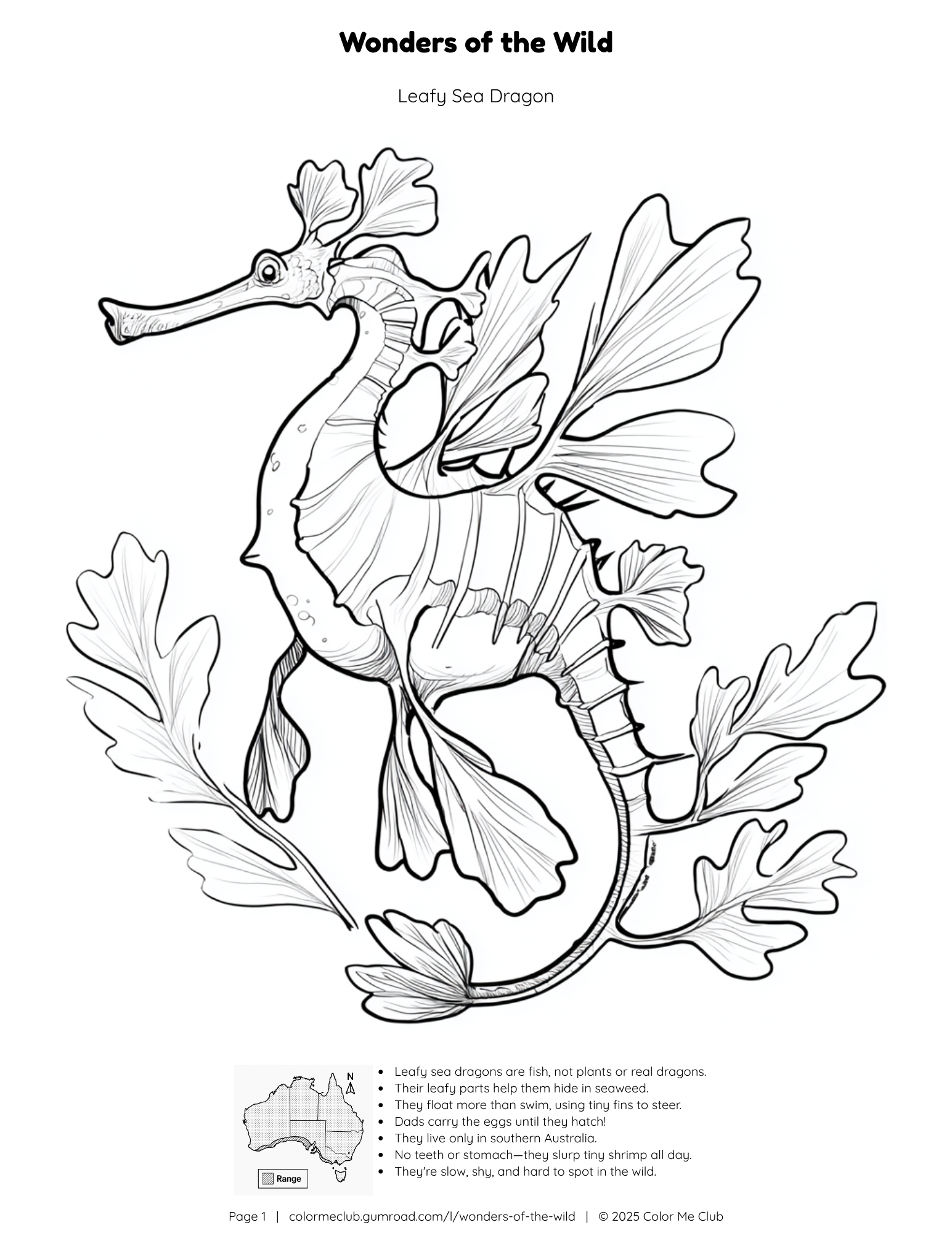 Wonders of the Wild - Leafy Sea Dragon Coloring Page
